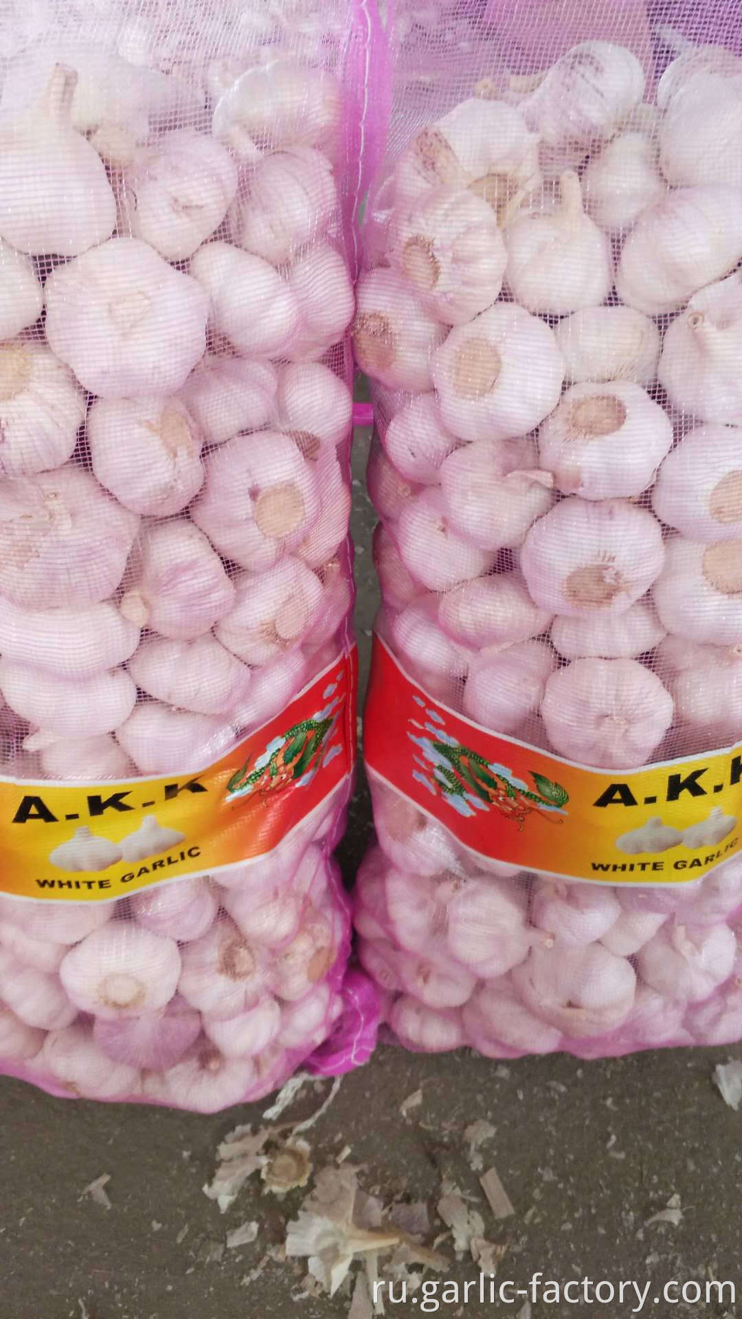 New Crop Fresh Garlic in High Quality